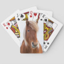 Suche nach isländisch spielkarten Equus caballus