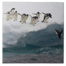 Suche nach tauchen fliesen Tiere