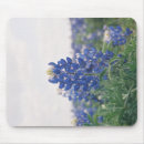 Suche nach einzig mousepads Texas