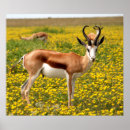 Suche nach namibia poster Natur