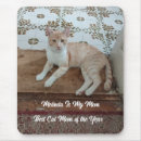 Suche nach lustiges katzen foto mousepads Jede person
