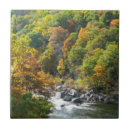 Suche nach herbstfarben fliesen Jede person