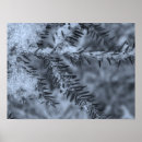 Suche nach fichte poster Natur