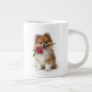 Suche nach pomeranian tassen Hund