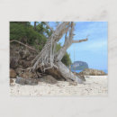 Suche nach sandig postkarten Jede person