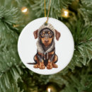 Suche nach pinscher ornamente Weihnachten