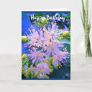 Suche nach clematis karten Gärtner