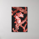 Suche nach seepferde leinwandbilder Tiere