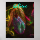 Suche nach frauenschuh poster Blume