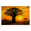 Suche nach baobab poster Für alle