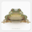 Suche nach kaltblütig aufkleber Reptilien