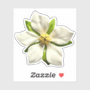 Suche nach vintager schmuck aufkleber Blume