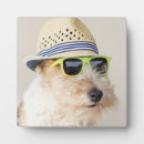 Suche nach terrier fotoplatten Welpe