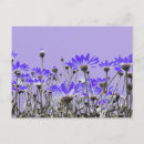 Suche nach dessous postkarten Blume