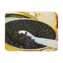Suche nach dose magnete Fisch