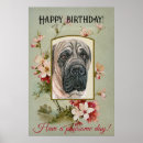 Suche nach mastiffs poster Canine