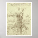 Suche nach anatomie poster Skelett