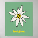 Suche nach chalet poster Blume