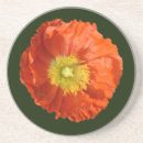 Suche nach mohn untersetzer Bunt