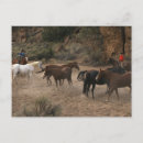 Suche nach pferdeherde postkarten Ranch