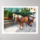 Suche nach pferd gezeichnet poster Jede person