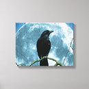 Suche nach crow leinwandbilder Krähe