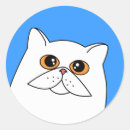 Suche nach persische katze aufkleber Kätzchen