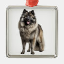 Suche nach keeshond ornamente Welpe