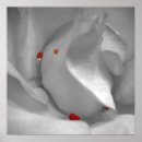 Suche nach makro poster Regentropfen