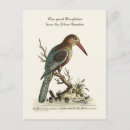 Suche nach abwärts postkarten Vintag