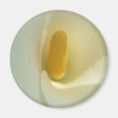 Suche nach weiße lilie magnete Calla