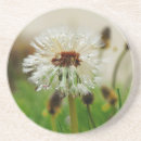 Suche nach löwenzahn untersetzer Gras