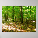 Suche nach perspektive poster Bäume