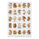 Suche nach essbar poster Pilze