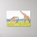 Suche nach niedliche giraffe leinwandbilder Tiere