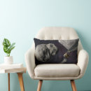 Suche nach entdeckung kissen Wissenschaft