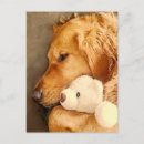 Suche nach trauriger hund postkarten Süß