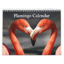 Suche nach watender vogel Fotografie