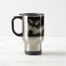 Suche nach alaskischer malamute Welpe