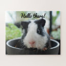 Suche nach meerschweinchen geschenke Für kinder