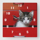 Suche nach kamera wanduhren Haustiere