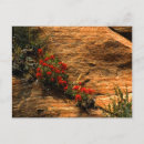 Suche nach malerpinsel postkarten Frühling