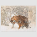 Suche nach schnee seidenpapier Tierwelt