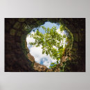 Suche nach kokosnüsse poster Baum