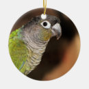 Suche nach oliven ornamente Niedlich