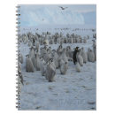 Suche nach pinguin kleine notizbücher Für alle