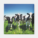 Suche nach landwirtschaft magnete Bauernhof