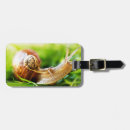 Suche nach schnecke gepäckanhänger Tier