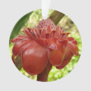 Suche nach ingwer ornamente Jede person