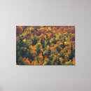 Suche nach herbstwald leinwandbilder Bäume